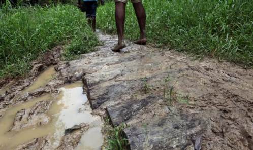 Dilapidated foot path