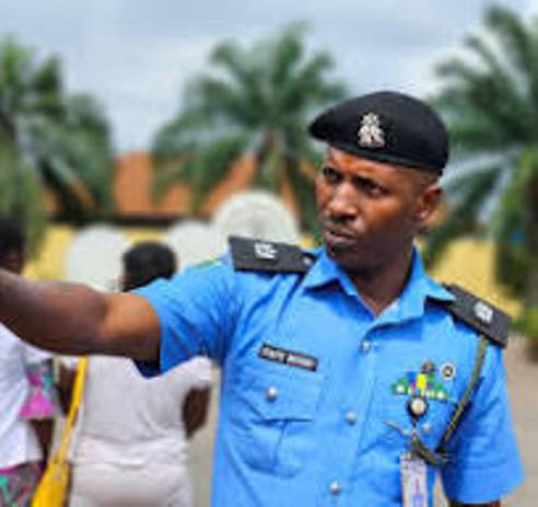 Dellta Ppro Bright Edafe