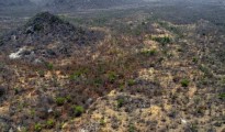 Sambisa Forest aerial view (1)